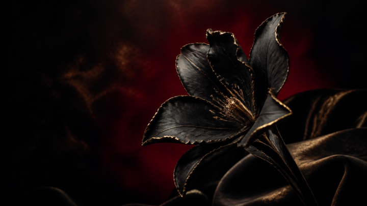Black sculptural flower emerging from shadow with a soft oxblood halo and antique gold details.